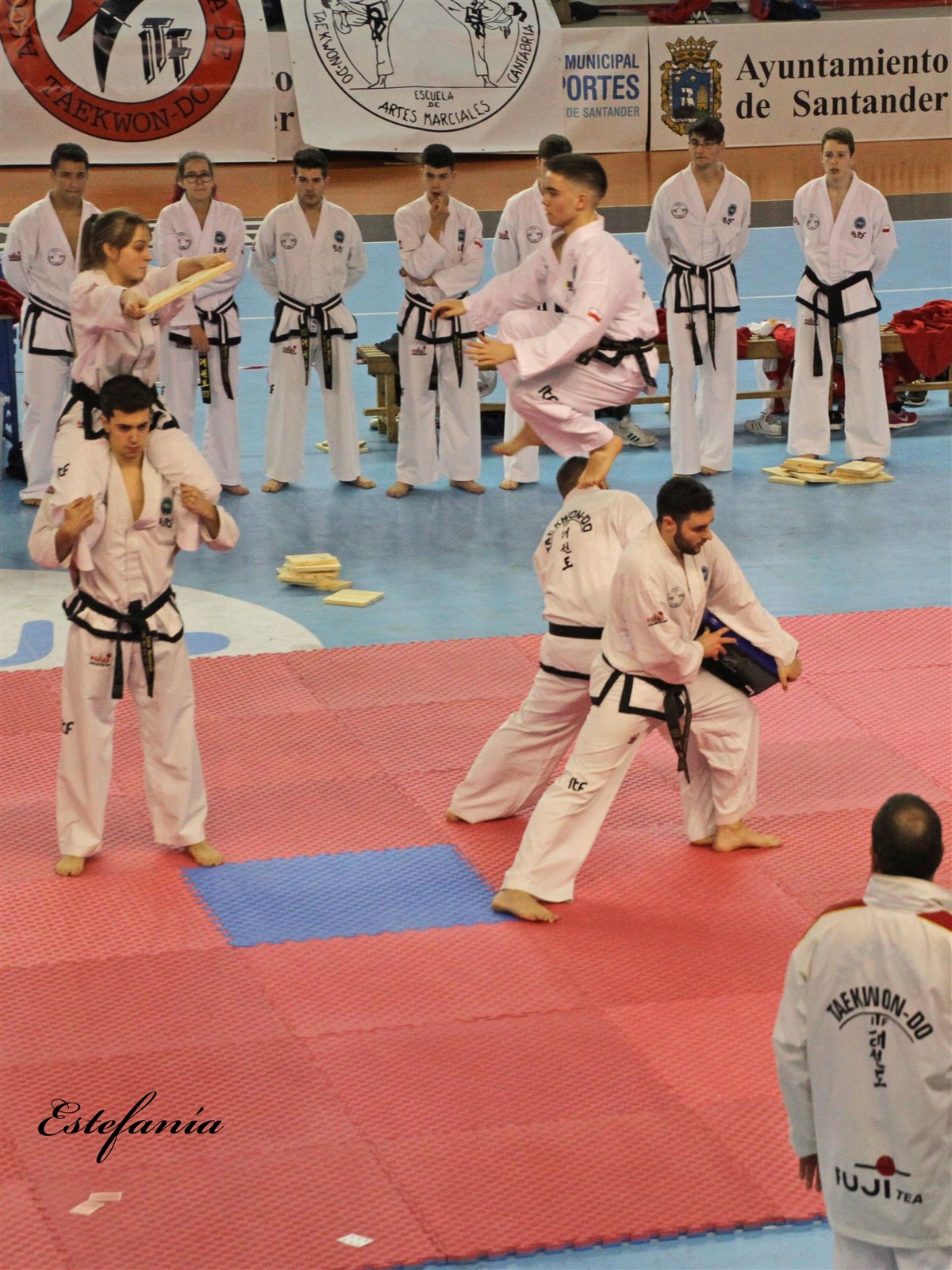 Taekwondo (231).jpg